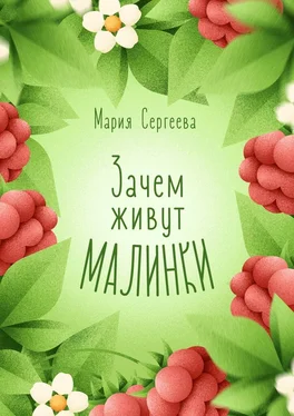 Мария Сергеева Зачем живут малинки обложка книги