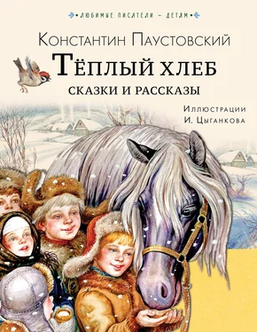 Константин Паустовский Тёплый хлеб. Сказки и рассказы