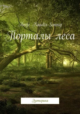 Antje Naudis-Sonnig Порталы леса. Эзотерика обложка книги