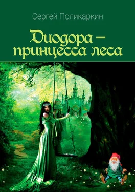 Сергей Поликаркин Диодора – принцесса леса обложка книги