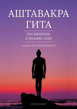 Глеб Давыдов Аштавакра Гита. Посвящение в Знание Себя обложка книги