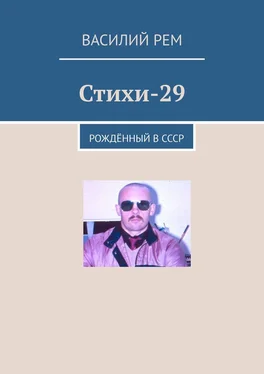 Василий Рем Стихи-29. Рождённый в СССР обложка книги