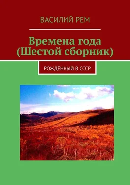 Василий Рем Времена года (Шестой сборник). Рождённый в СССР обложка книги