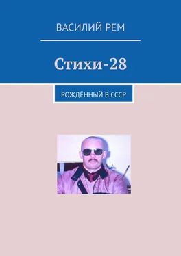 Василий Рем Стихи-28. Рождённый в СССР обложка книги