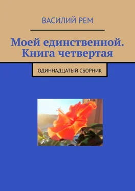 Василий Рем Моей единственной. Книга четвертая. Одиннадцатый сборник обложка книги