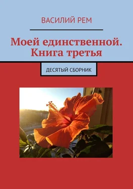 Василий Рем Моей единственной. Книга третья. Десятый сборник обложка книги