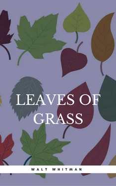 Walt Whitman Leaves of Grass обложка книги