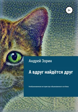 Андрей Зорин А вдруг найдётся друг обложка книги