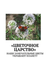 Марина Аглоненко - «Цветочное царство». Наши замечательные цветы украшают планету