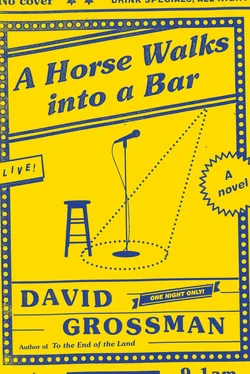 David Grossman A Horse Walks Into a Bar обложка книги