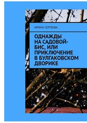 Ирина Сергеева - Однажды на Садовой-бис, или Приключение в Булгаковском дворике