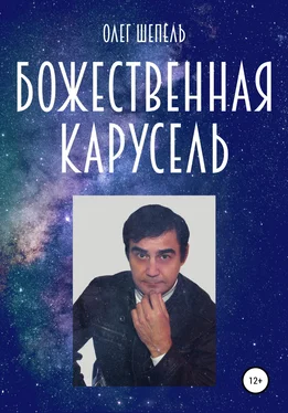 Олег Шепель Божественная карусель обложка книги