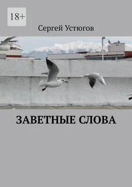 Сергей Устюгов Заветные слова обложка книги