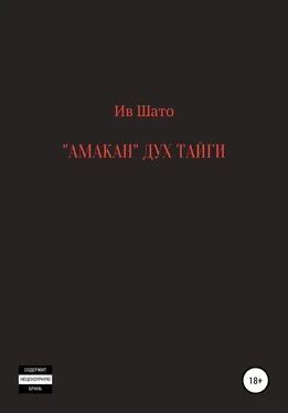 Ив Шато Амакан. Дух тайги обложка книги