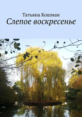 Татьяна Кошман Слепое воскресенье обложка книги