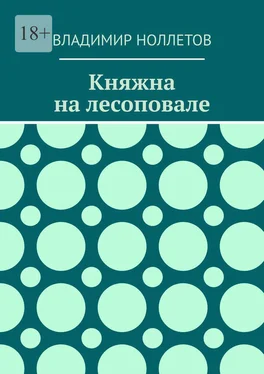 Владимир Ноллетов Княжна на лесоповале обложка книги