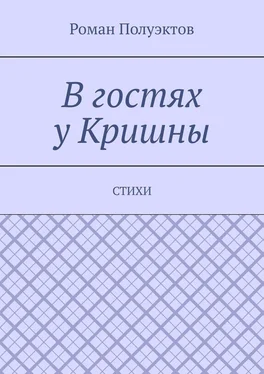 Роман Полуэктов В гостях у Кришны. Стихи обложка книги