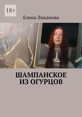 Елена Ликанова Шампанское из огурцов обложка книги