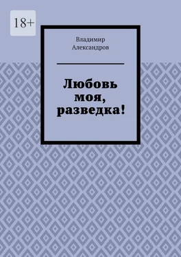 Владимир Александров Любовь моя, разведка! обложка книги