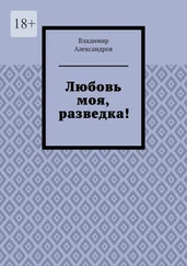 Владимир Александров - Любовь моя, разведка!