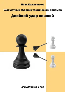 Иван Кожевников Шахматный сборник тактических приемов. Двойной удар пешкой. Для детей от 5 лет обложка книги