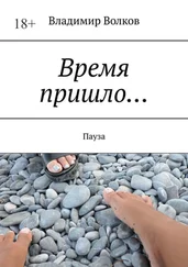 Владимир Волков - Время пришло… Пауза