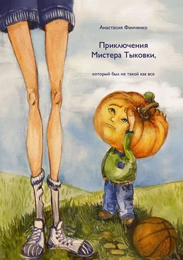Анастасия Финченко Приключения Мистера Тыковки обложка книги