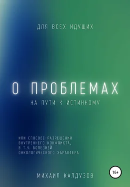 Михаил Калдузов О проблемах на пути к истинному… обложка книги