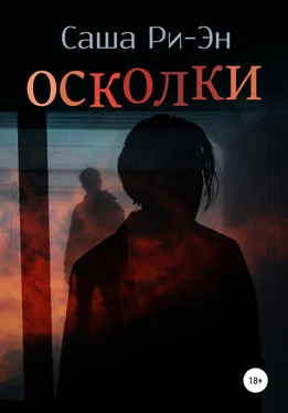 Саша Ри-Эн Осколки обложка книги