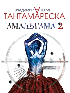 Владимир Торин Амальгама 2. Тантамареска обложка книги