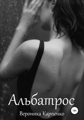 Вероника Карпенко - Альбатрос