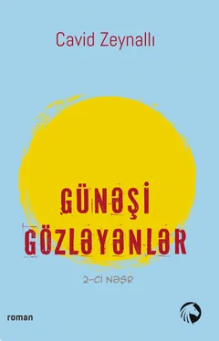 Cavid Zeynallı Günəşi gözləyənlər обложка книги