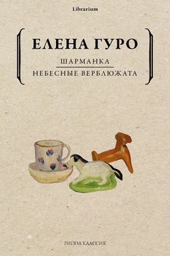 Елена Гуро Шарманка. Небесные верблюжата обложка книги