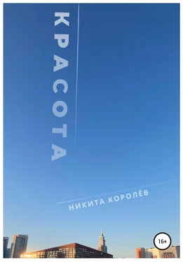 Никита Королёв Красота обложка книги