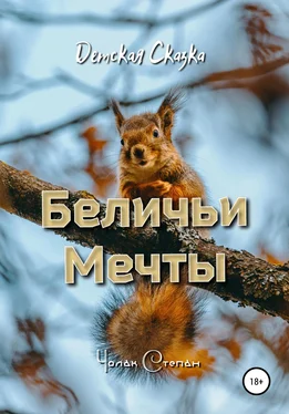 Степан Чолак Беличьи мечты обложка книги