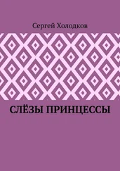 Сергей Холодков - Слёзы принцессы