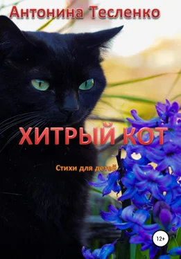 Антонина Тесленко Хитрый кот обложка книги