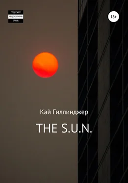 Кай Гиллинджер THE S.U.N. обложка книги