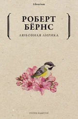 Роберт Бернс - Любовная лирика