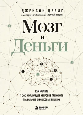 Джейсон Цвейг Мозг и Деньги. Как научить 100 миллиардов нейронов принимать правильные финансовые решения обложка книги