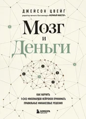 Джейсон Цвейг - Мозг и Деньги. Как научить 100 миллиардов нейронов принимать правильные финансовые решения