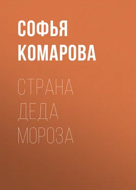 Софья Комарова Страна Деда Мороза обложка книги
