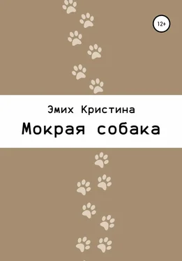 Кристина Эмих Мокрая собака обложка книги