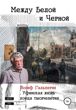 Иосиф Гальперин Между Белой и Черной обложка книги