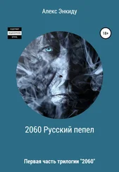 Алекс Энкиду - 2060 Русский пепел