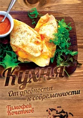 Тимофей Кочетков - Кухня. От древности к современности