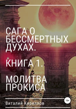 Виталий Кириллов Сага о бессмертных духах. Книга 1. Молитва Прокиса обложка книги