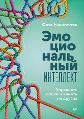 Олег Калиничев - Эмоциональный интеллект. Управлять собой и влиять на других