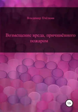 Владимир Пчёлкин Возмещение вреда, причинённого пожаром обложка книги