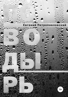 Евгений Петропавловский Поводырь обложка книги